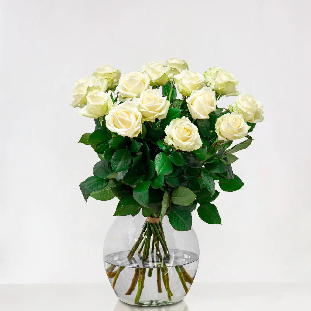 Dolce Eleganza : 12 rose bianche - BD FIORISTA