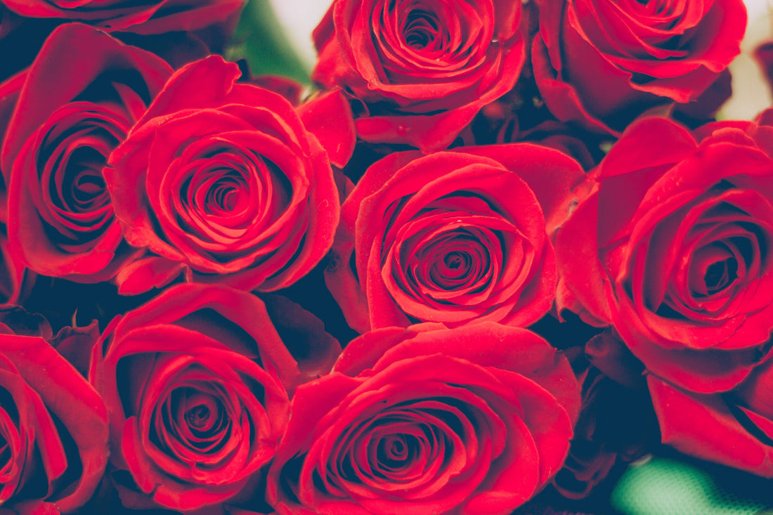 Come mantenere a lungo le rose