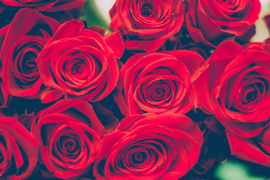 Come mantenere a lungo le rose