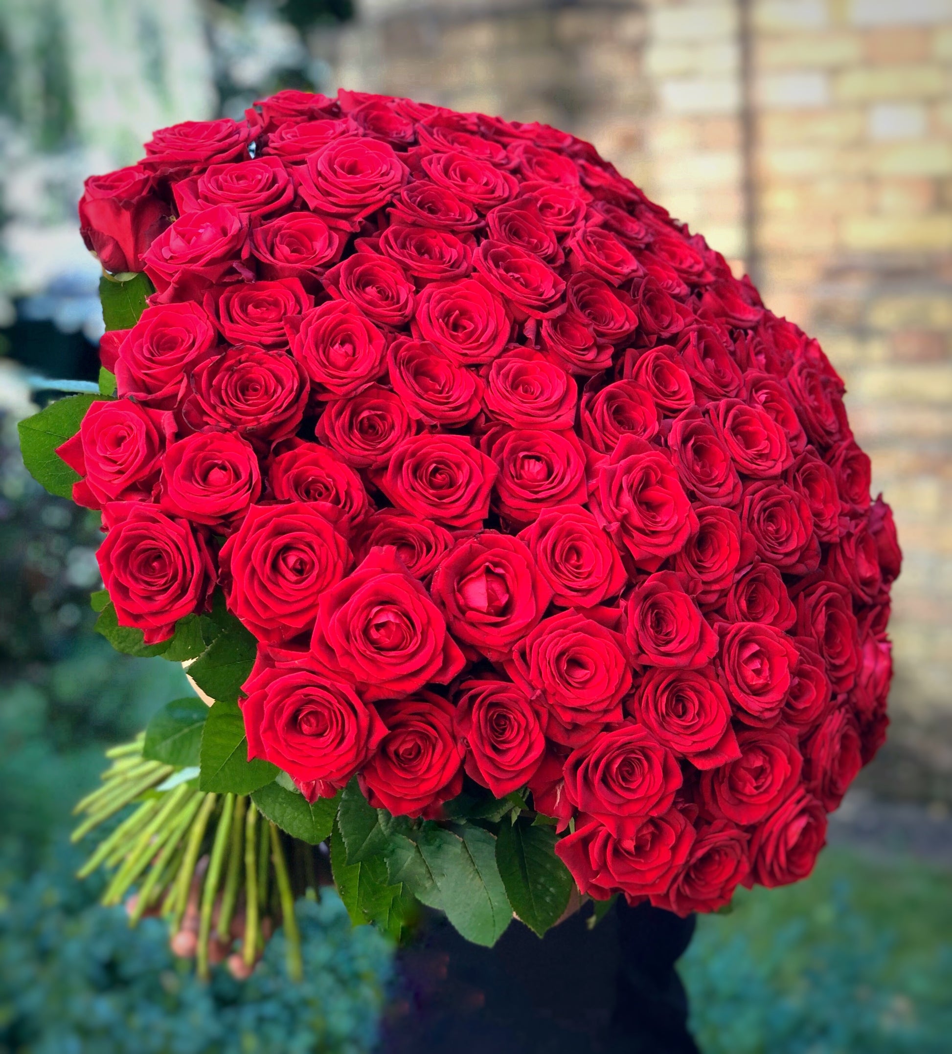 Rosso cento : 100 Rose Rosse - BD FIORISTA