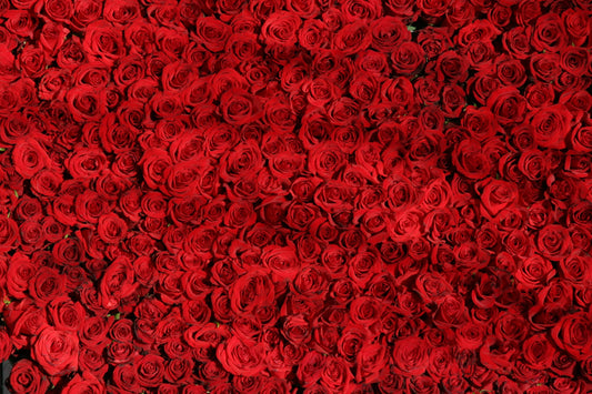 Rosa Infinita : 365 rose rosse - BD FIORISTA