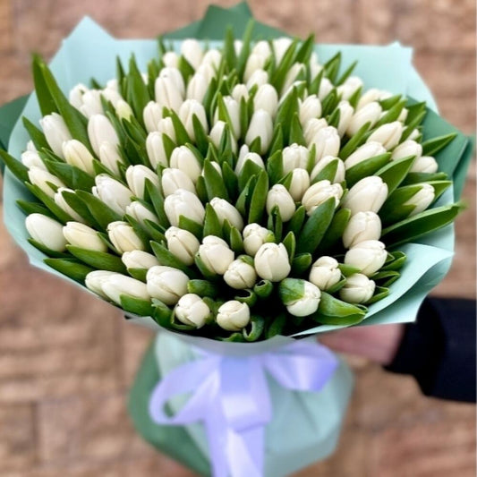 Tulipmania : 101 tulipani bianchi - BD FIORISTA