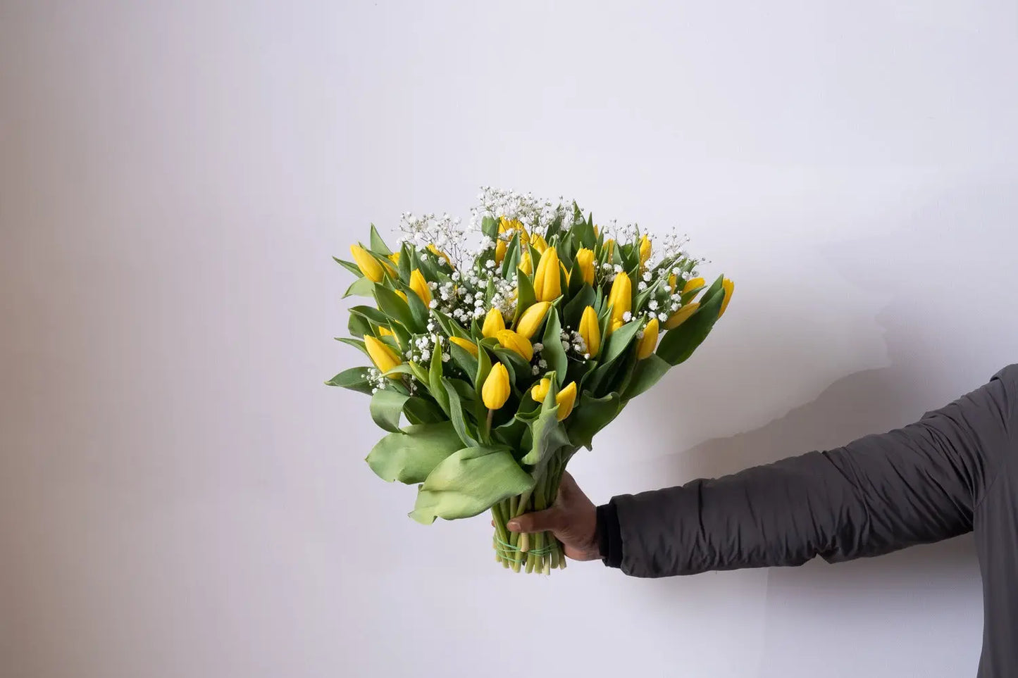 Luminosa Primavera : la gioia dei tulipani gialli a Milano