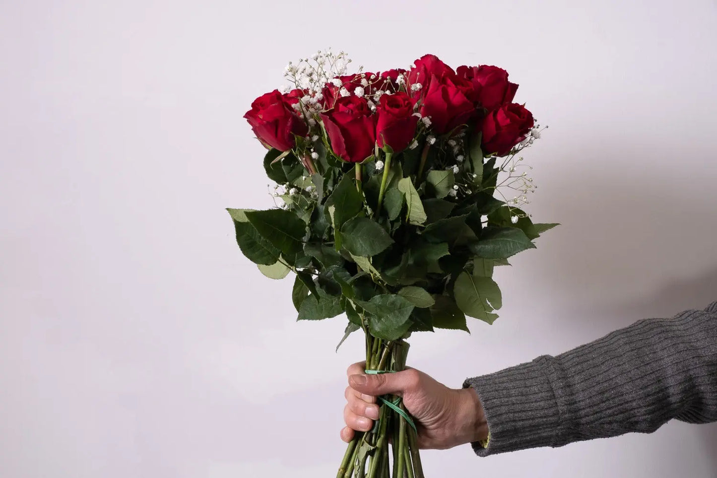 Rosso Passione| Bd Fiorista